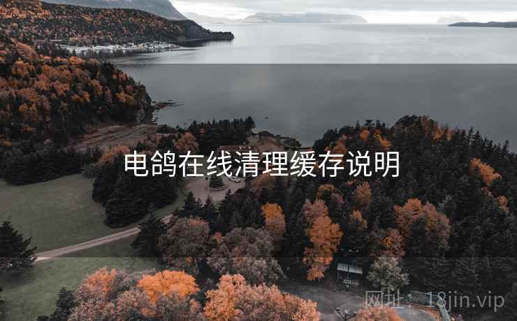 电鸽在线清理缓存说明