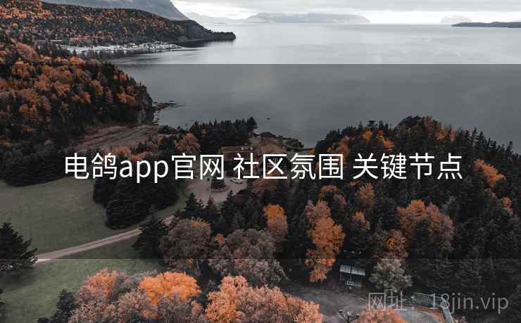 电鸽app官网 社区氛围 关键节点