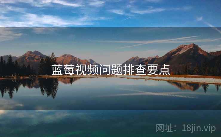 蓝莓视频问题排查要点