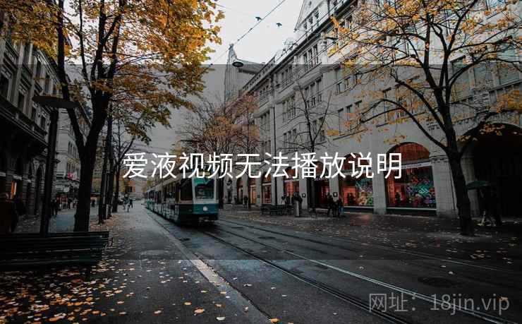 爱液视频无法播放说明