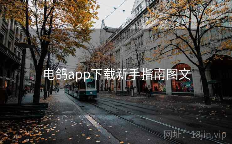 电鸽app下载新手指南图文