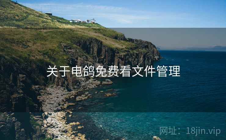 关于电鸽免费看文件管理