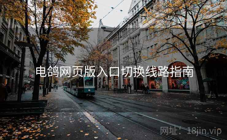 电鸽网页版入口切换线路指南