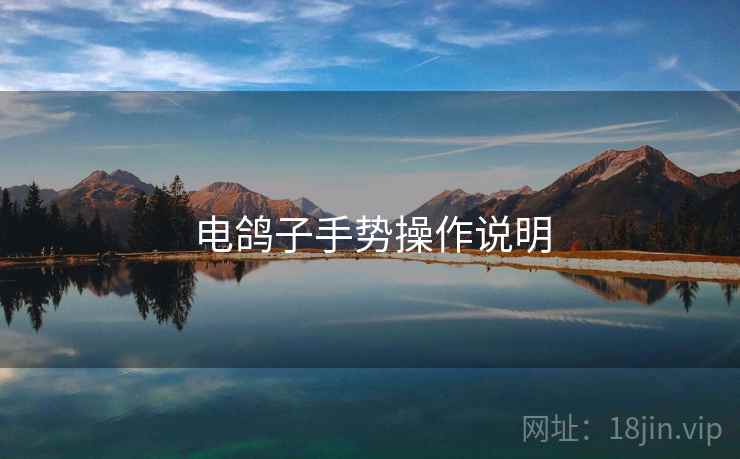 电鸽子手势操作说明